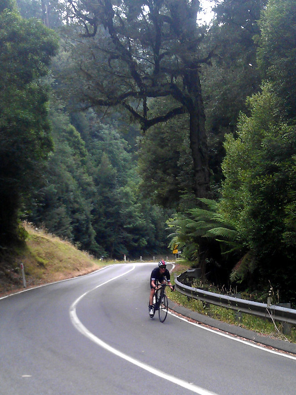 Descending Mt Donna Buang. Photo: Jeremy